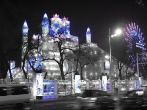 IMG_1340