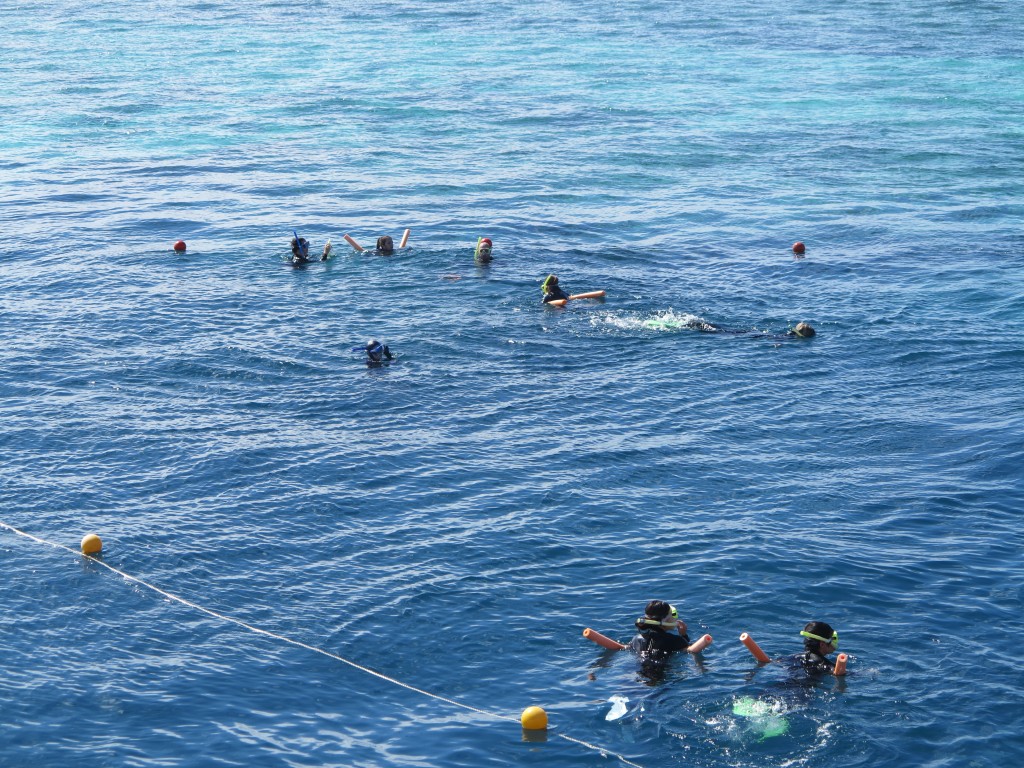 snorkling