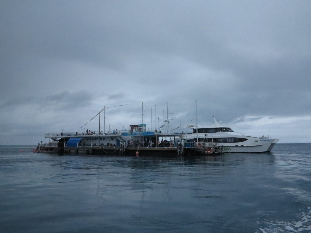 reef pontoon great barrier reef tour
