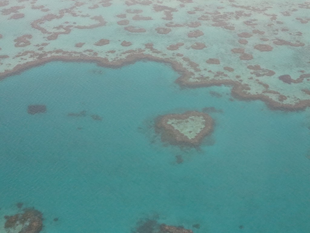 great barrier reef tour