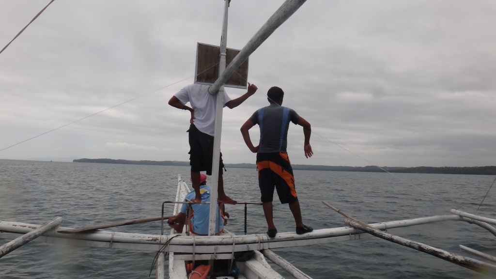 Swim with whale sharks in the Philippines