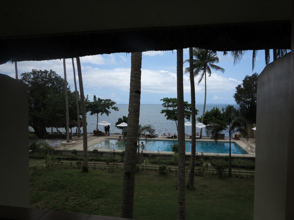 My room view